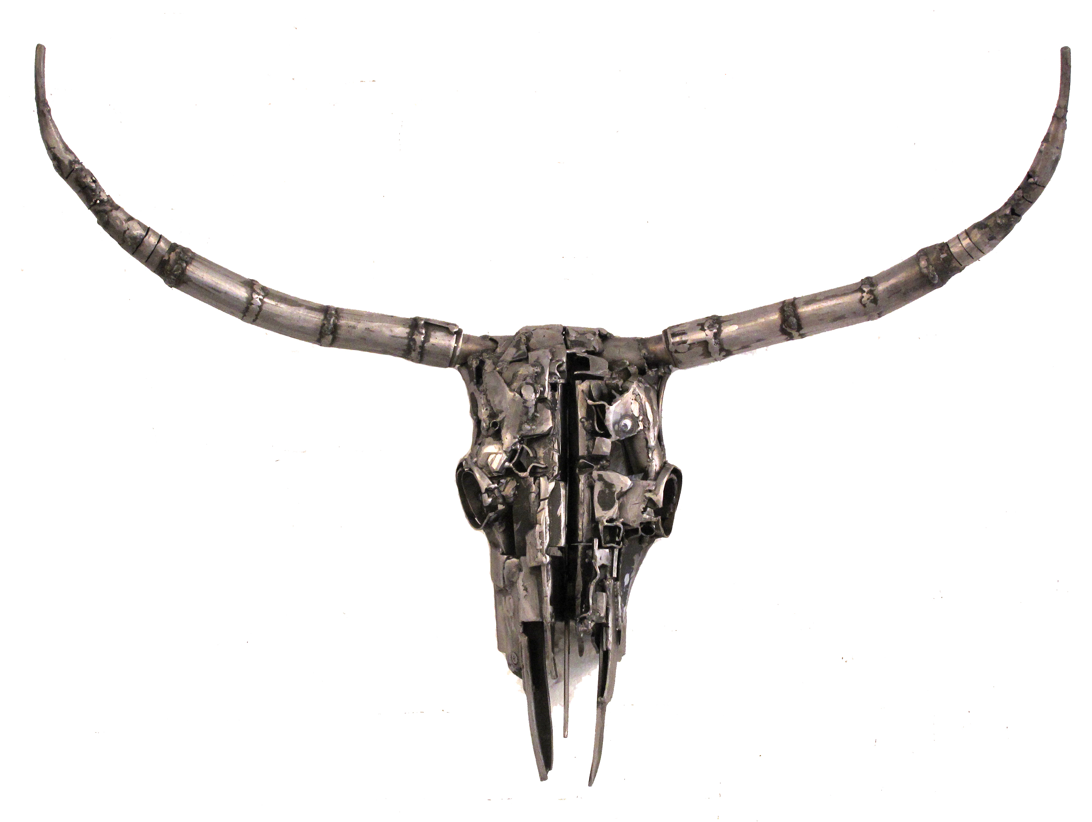 Steer Skull